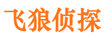 临朐外遇调查取证